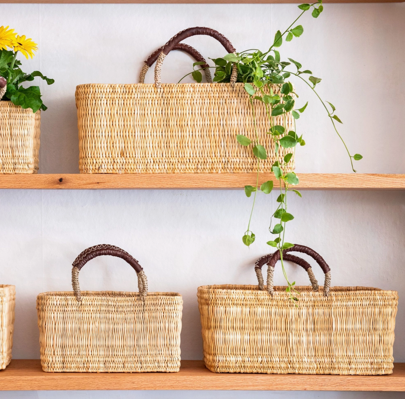 Garden Baskets